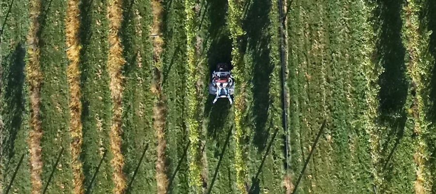 Altoz TRX vinyard overhead